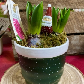 Christmas Hyacinth Bulb Santa Pot